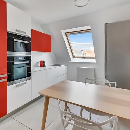 Le Saint-eloi Luxury Private Parking With Ac 6 Pers Old Town * Colmar