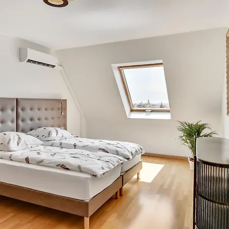 Le Saint-eloi Luxury Private Parking With Ac 6 Pers Old Town Apartman Colmar